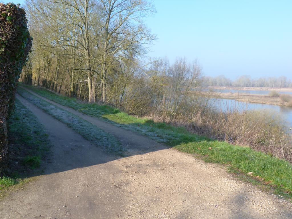 Les Gites De Colliers Muides-sur-Loire Habitación foto